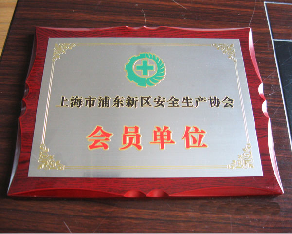 上海浦東新區(qū)安全生產(chǎn)協(xié)會(huì)會(huì)員單位